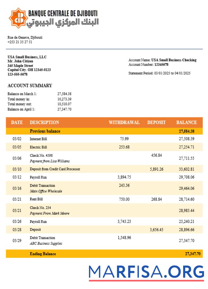Realistic Central Bank of Djiboutian company checking account statement Word and PDF template